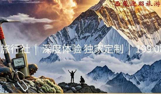 企业动态