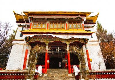 外宾去西藏旅游怎么安排？入藏函办理+拉萨林芝珠峰8天定制游旅行社全攻略